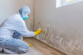 Best Mold Removal for HVAC Installations  in Chesterfield, SC