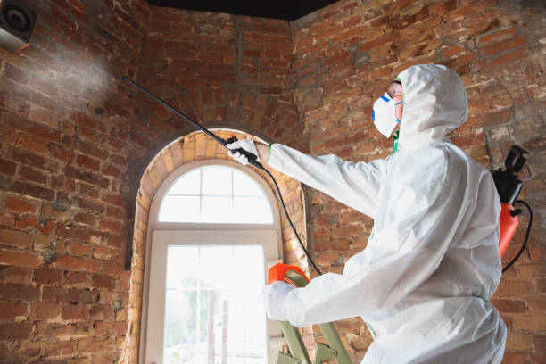 Best Residential Mold Inspection & Testing  in Chesterfield, SC