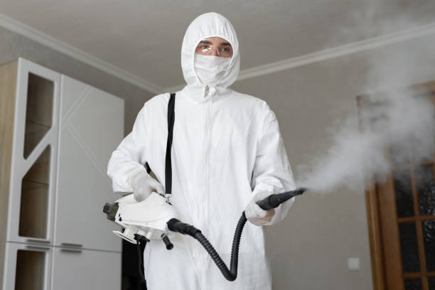 Best Air Quality Testing for Mold Spores  in Chesterfield, SC