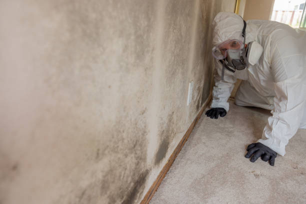 Best Biohazard Mold Removal  in Chesterfield, SC